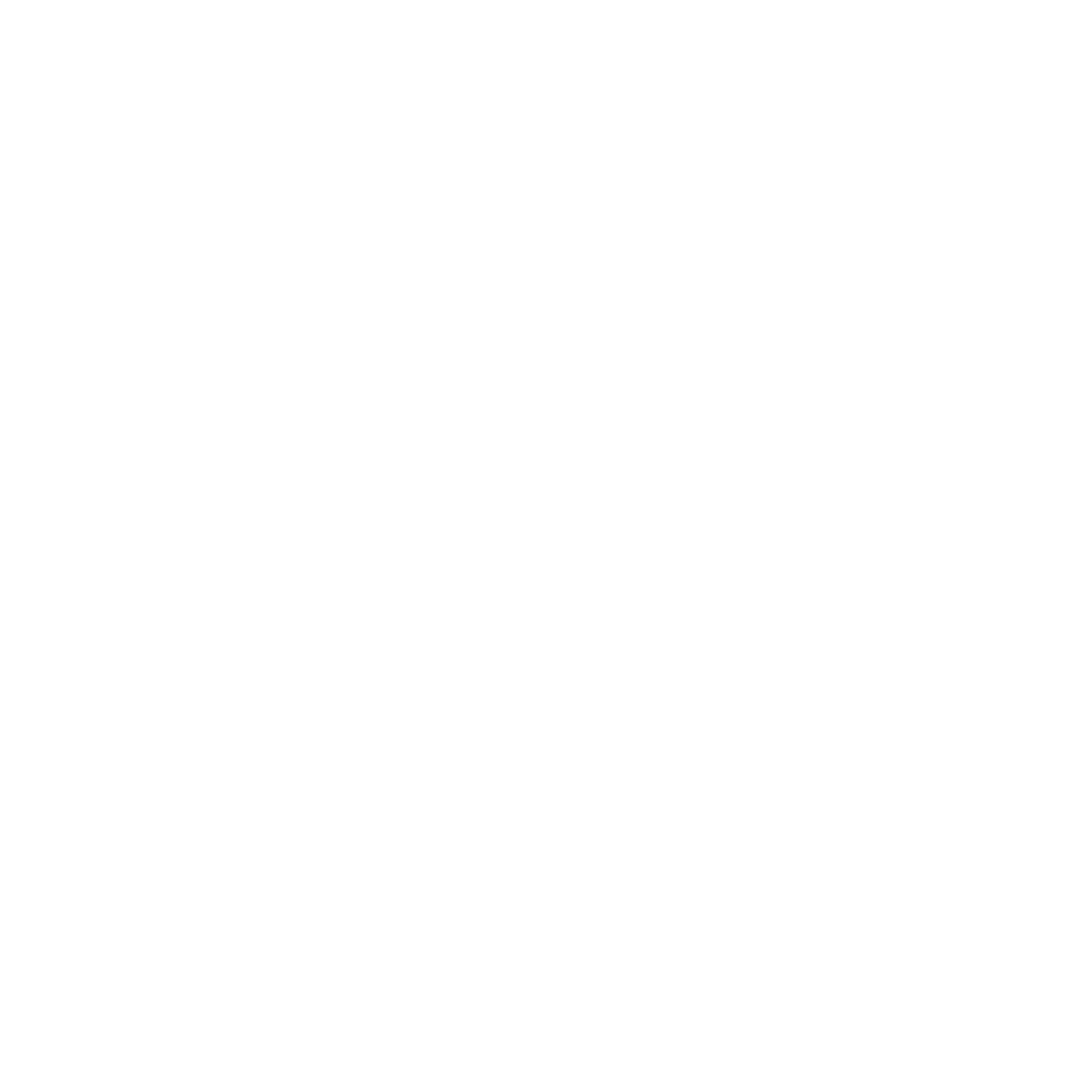 EchoForge Logo